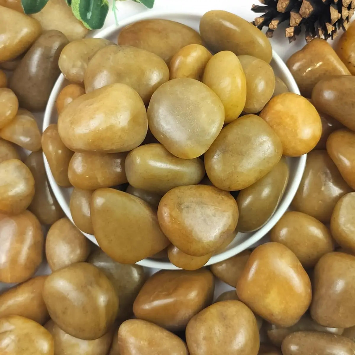 5lbs White River Rocks, 1-2 Inch Natural Pebbles for Indoor Plants, High Polished Decorative Stones Vase Filler Fish Tank Aquari