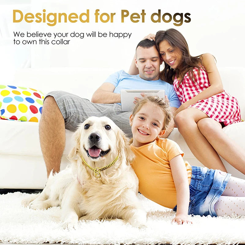 Stainless Steel Chain Collar For Dogs