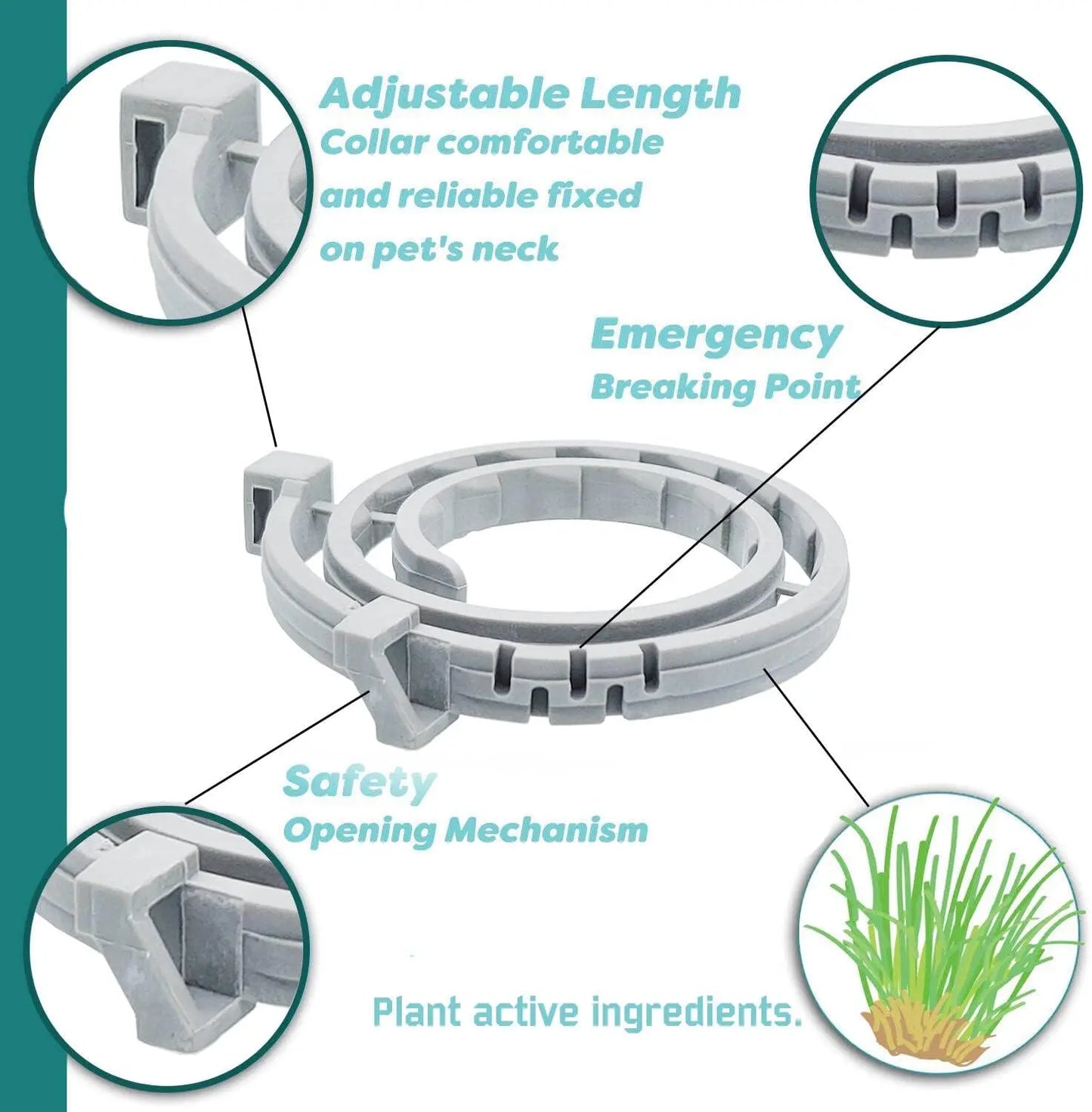 Flea and Tick Collar for Cats - Offers 12-Month Protection, Crafted with Premium Plant Oils, Waterproof, Natural, Safe for Kitte