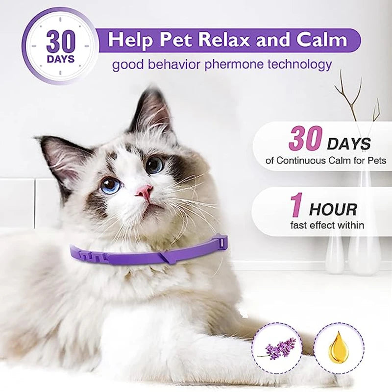 Calming Pheromone Collar Adjustable Anti Anxiety Puppy Kitten Dog Cat Safe Soft Fabric Daily Use