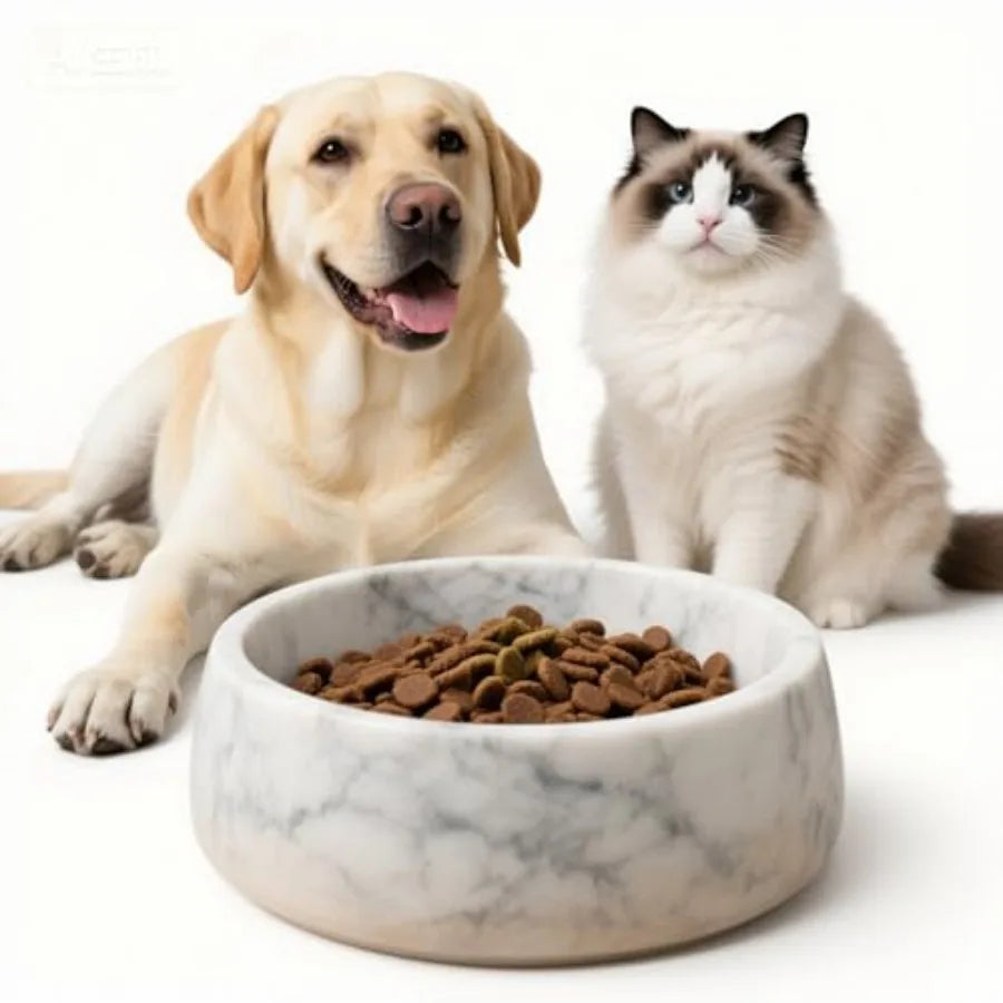 Dog Bowl Natural Carrara Marble Dog Dish Heavy Duty Pet Food and Water Bowl for Dogs and Cats Non-Slip Stone Pet Dish Tip-Proof