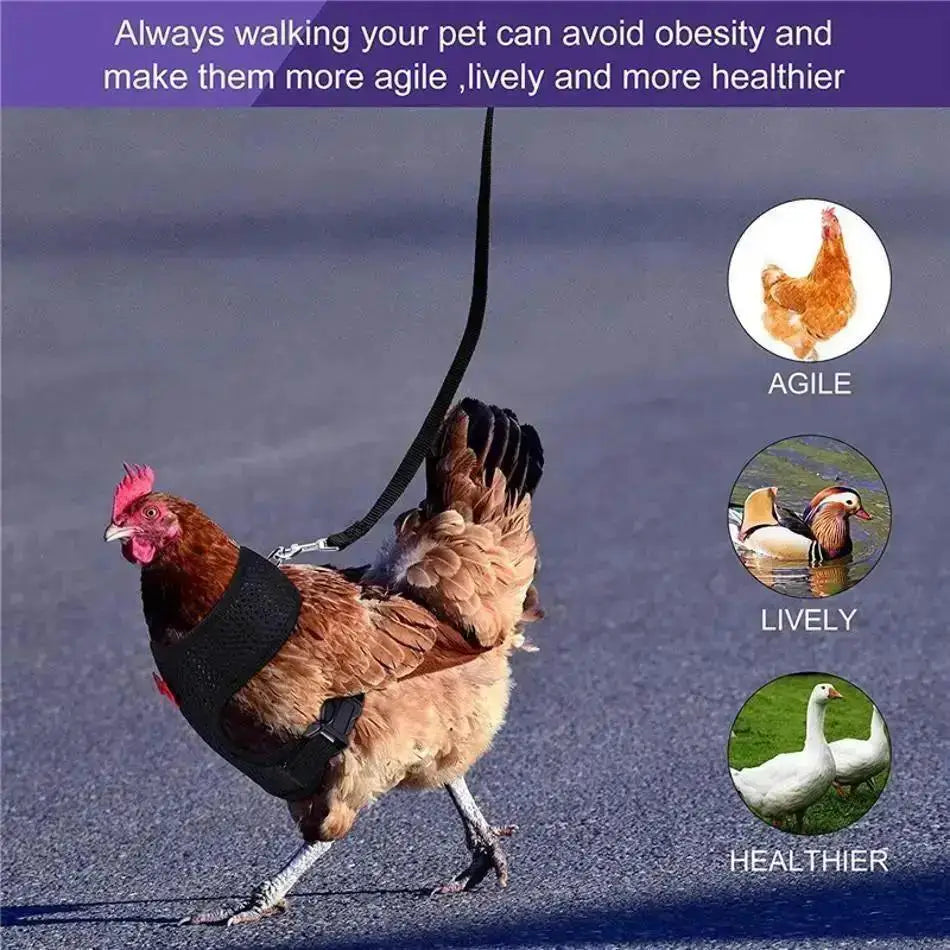 1 Pcs Fashion Chicken Duck Vest Hen Belt Pet Harness Matching Collars Bow Comfortable Leads Breathable Poultry Supply Wholesale