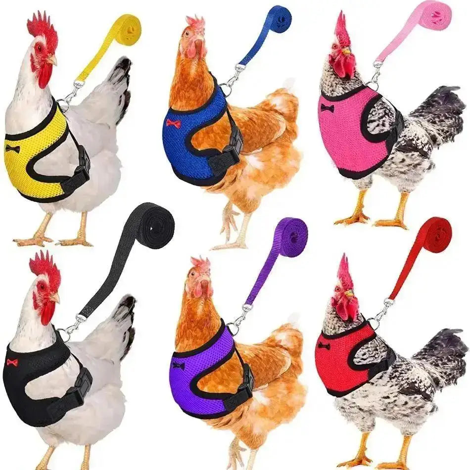 1 Pcs Fashion Chicken Duck Vest Hen Belt Pet Harness Matching Collars Bow Comfortable Leads Breathable Poultry Supply Wholesale