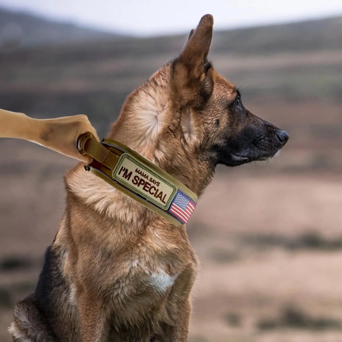 ZCAYNGER 3pcs 2.6" Tactical Dog Collar for Medium Dogs, Adjustable Heavy Duty Nylon Dog Collar with Reflective Stitching And Padded Handle for Hiking/Running