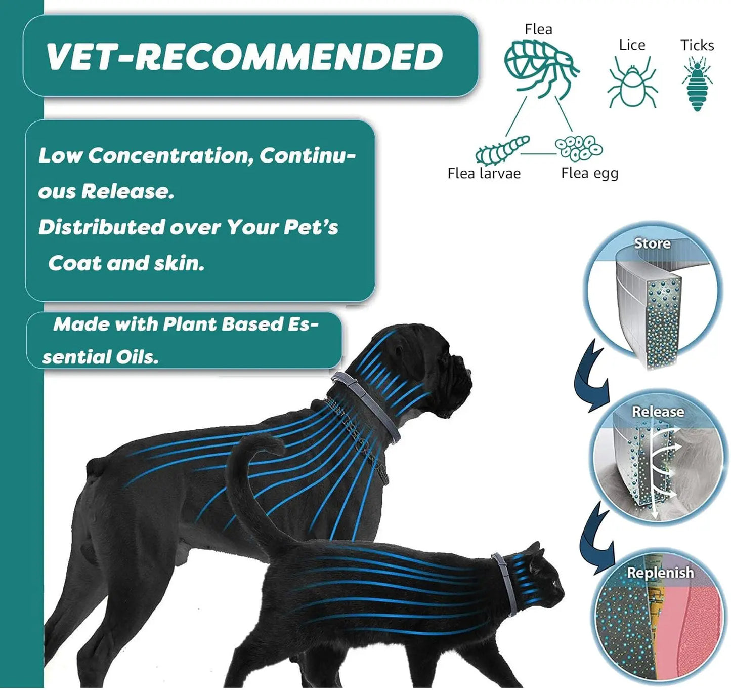 Flea and Tick Collar for Cats - Offers 12-Month Protection, Crafted with Premium Plant Oils, Waterproof, Natural, Safe for Kitte