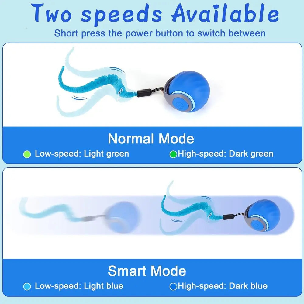 Interactive Cat Toy Ball - Automatic Interactive Cat Toys for Indoor Cats with 3 Tails, 2 Speeds Rechargeable Cat Enrichment Toy