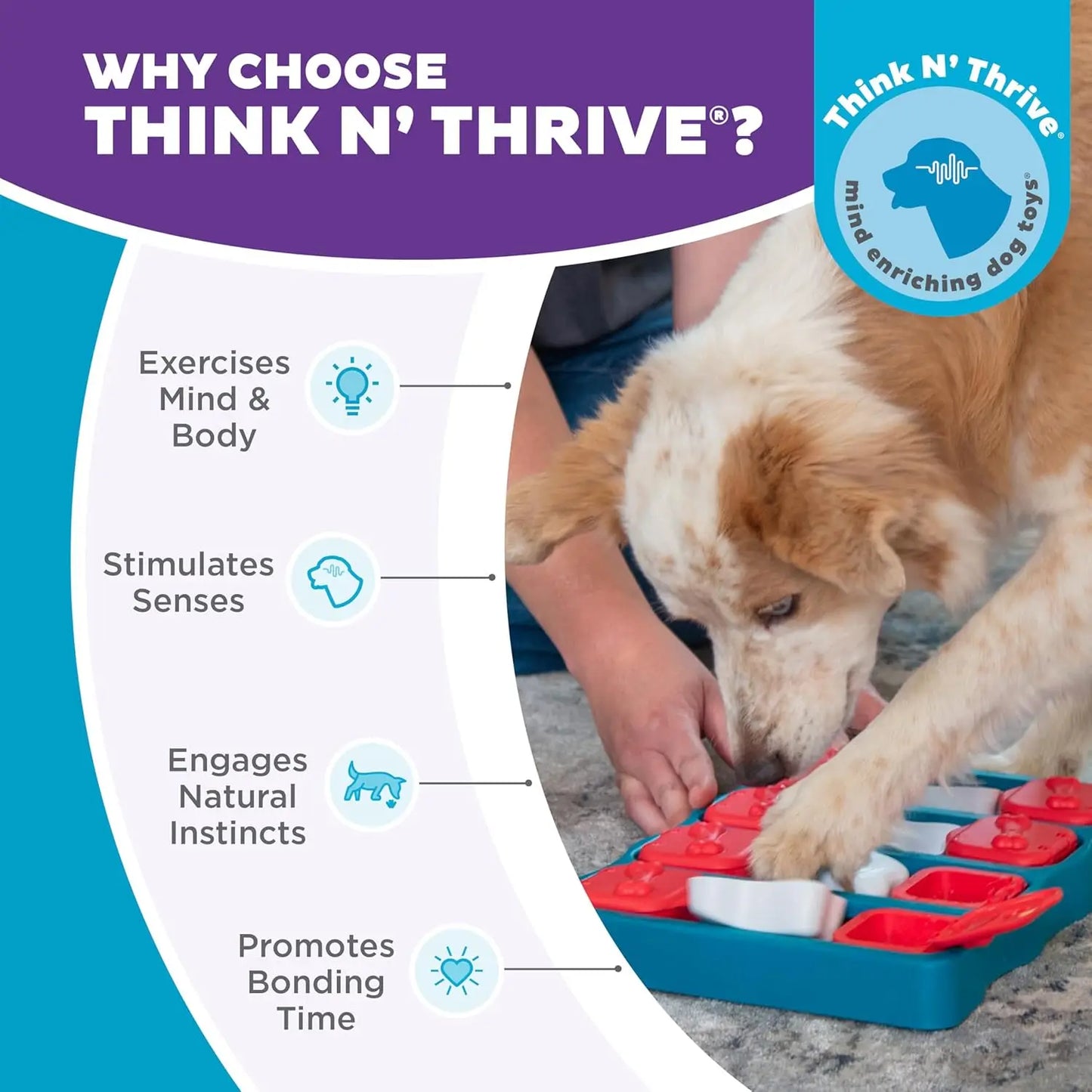 Nina Ottosson Dog Brick Interactive Treat Puzzle Toy for Mental Stimulation and Skill Development