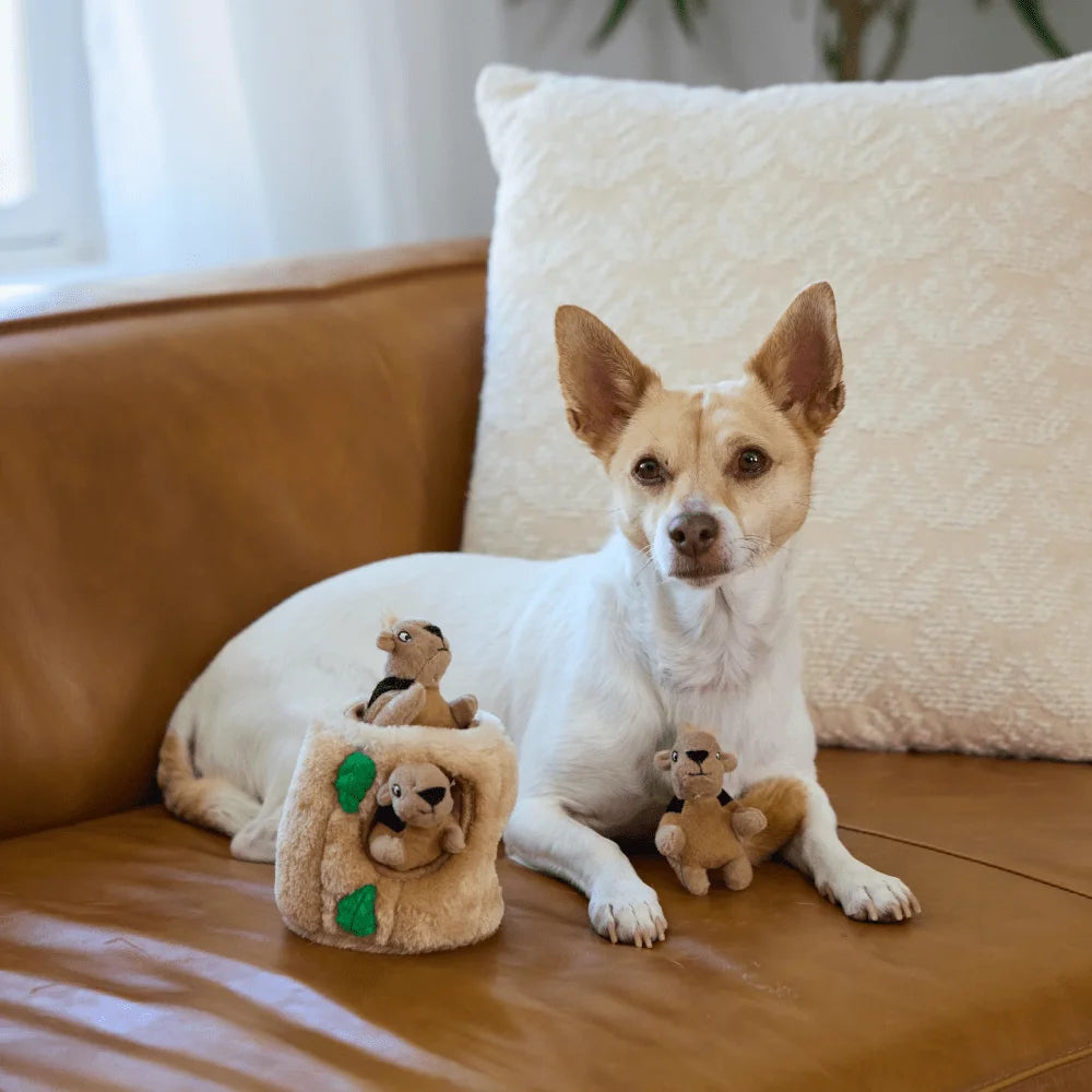 Interactive Plush Squirrel Hide And Seek Dog Toy With 5 Removable Squeaky Squirrels