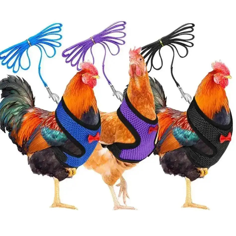 1 Pcs Fashion Chicken Duck Vest Hen Belt Pet Harness Matching Collars Bow Comfortable Leads Breathable Poultry Supply Wholesale