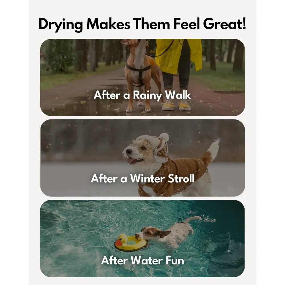 Drybo Ultra Pet Dryer Box - Ultra Quiet, Smart Temperature Control, 360° Efficient, 4 Locking Swivel Casters for, Customized