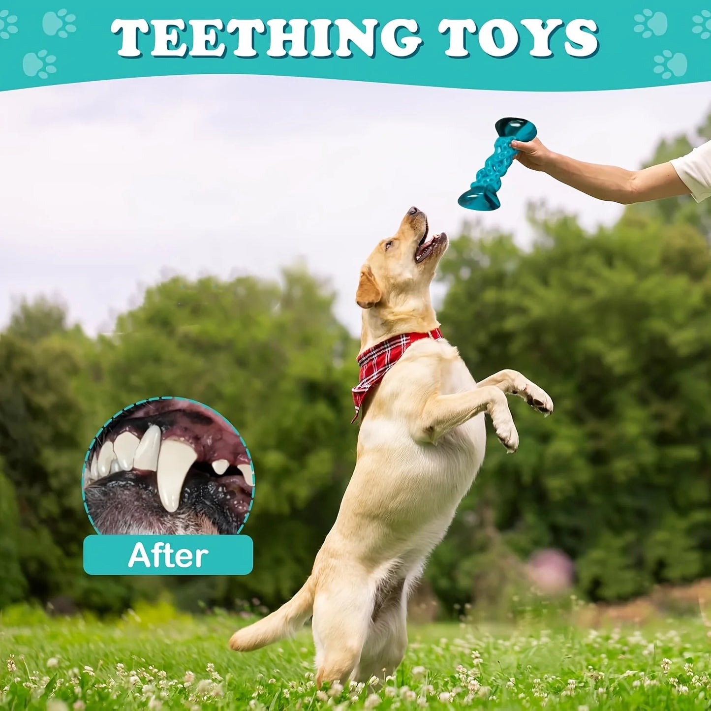 Pet Toys Durable And Sturdy Dog Chew Toys, Aggressive Chew Toys For Large Dogs Who Love To Chew, Resistant Anxiety Relief & Boredom Buster, Indestructible Dog Toys For Small, Medium And for large Dogs, Nylon, Toys To Keep Dog