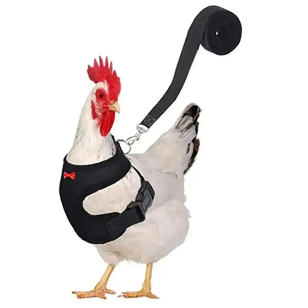 1 Pcs Fashion Chicken Duck Vest Hen Belt Pet Harness Matching Collars Bow Comfortable Leads Breathable Poultry Supply Wholesale