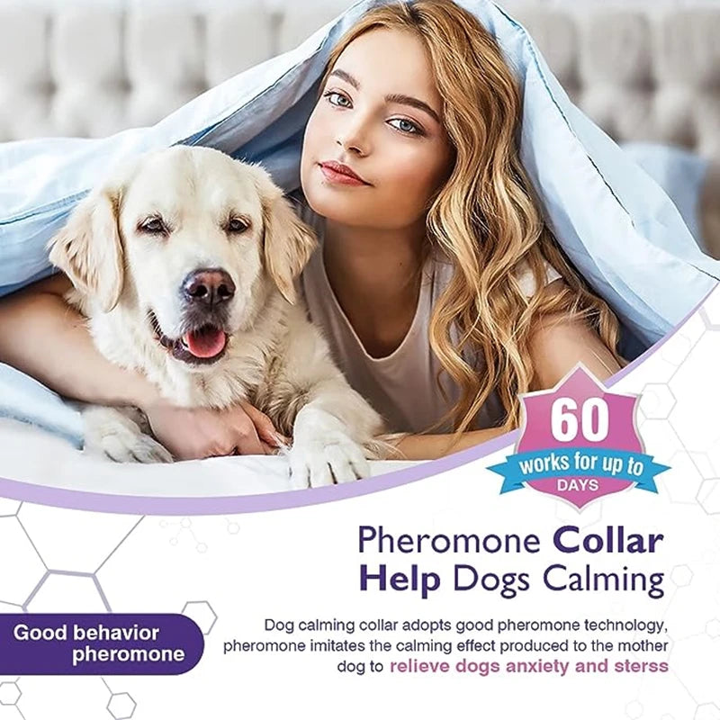 Calming Pheromone Collar Adjustable Anti Anxiety Puppy Kitten Dog Cat Safe Soft Fabric Daily Use