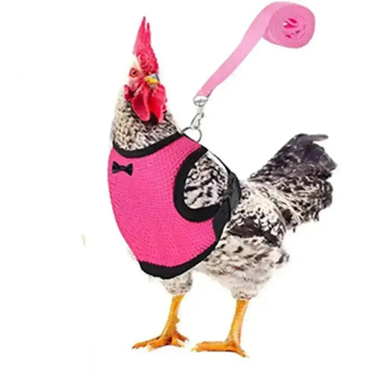1 Pcs Fashion Chicken Duck Vest Hen Belt Pet Harness Matching Collars Bow Comfortable Leads Breathable Poultry Supply Wholesale