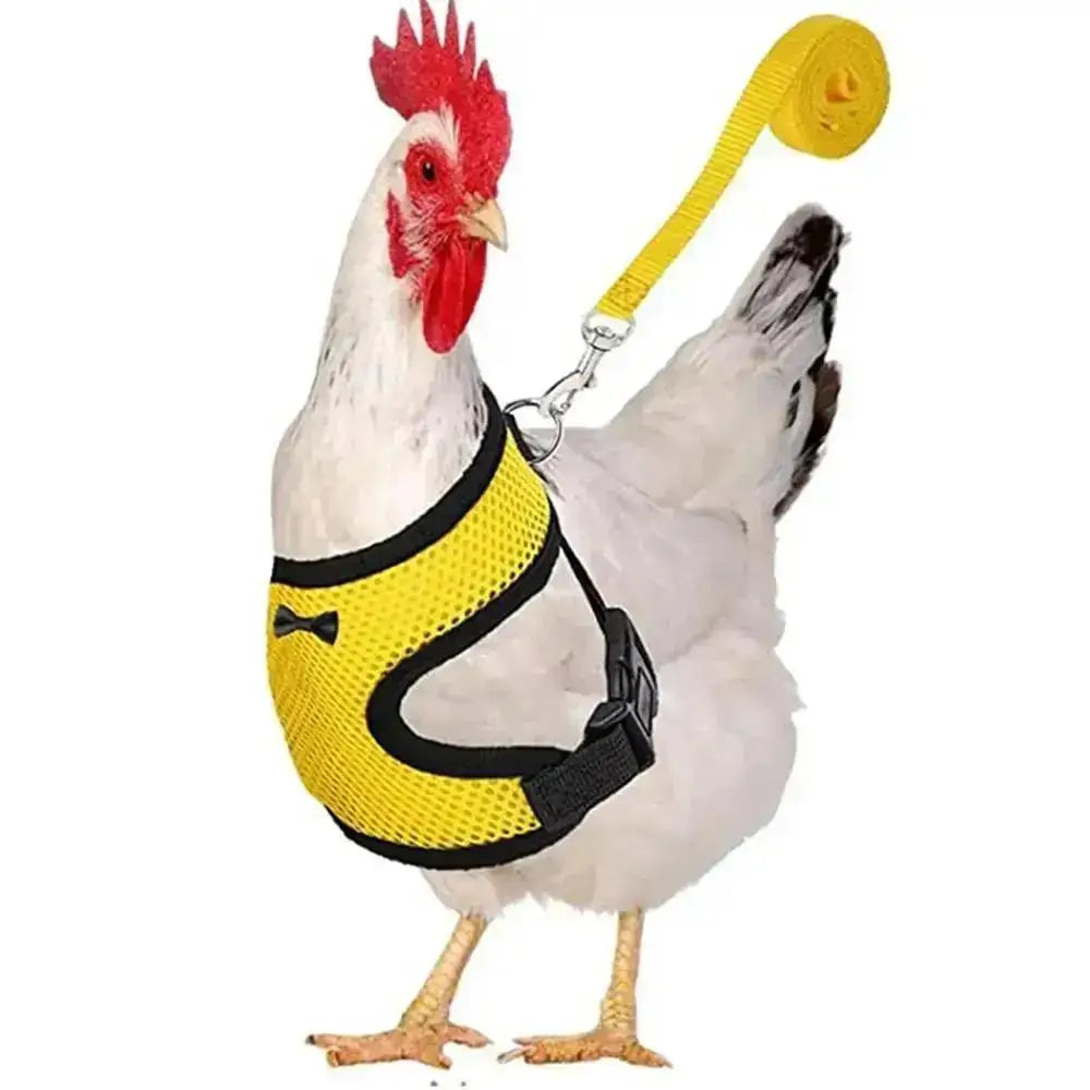 1 Pcs Fashion Chicken Duck Vest Hen Belt Pet Harness Matching Collars Bow Comfortable Leads Breathable Poultry Supply Wholesale