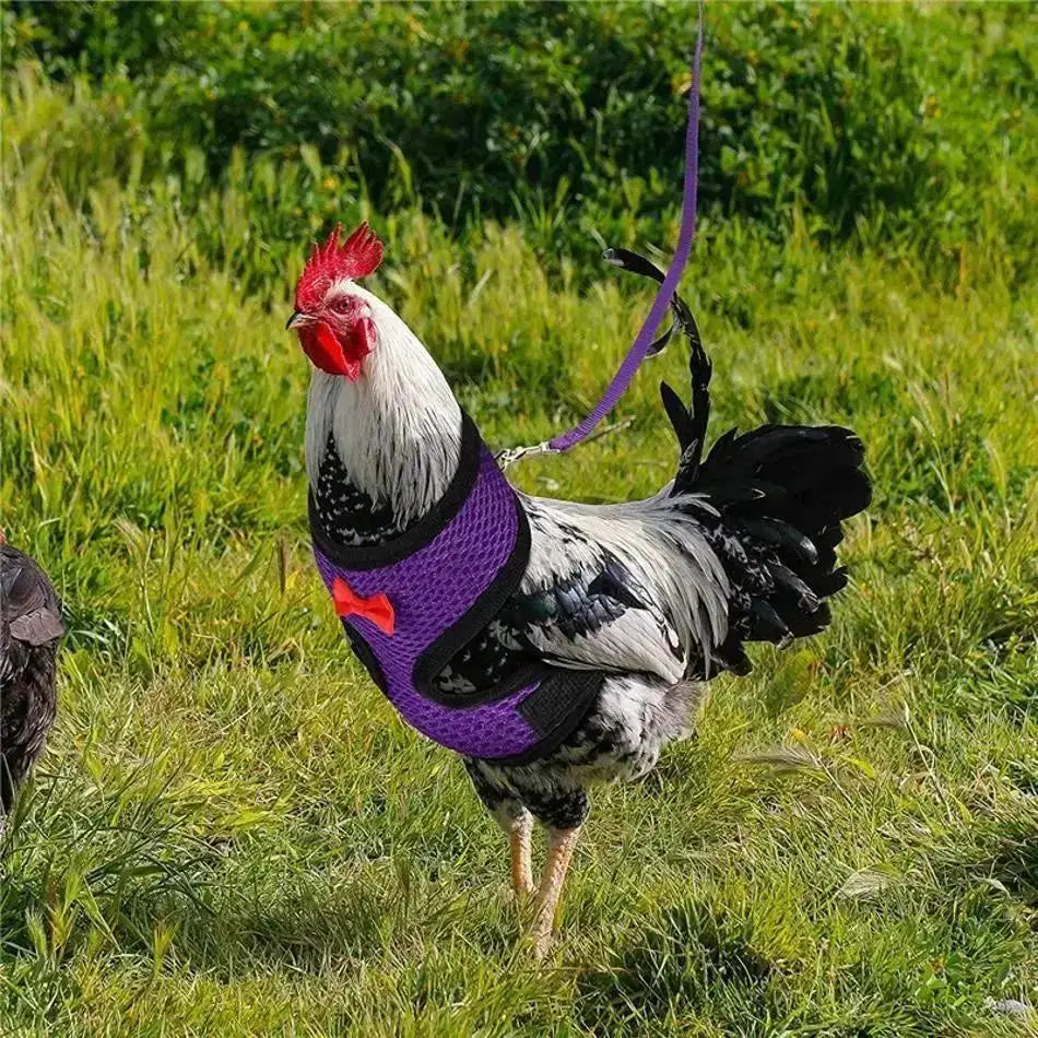 1 Pcs Fashion Chicken Duck Vest Hen Belt Pet Harness Matching Collars Bow Comfortable Leads Breathable Poultry Supply Wholesale