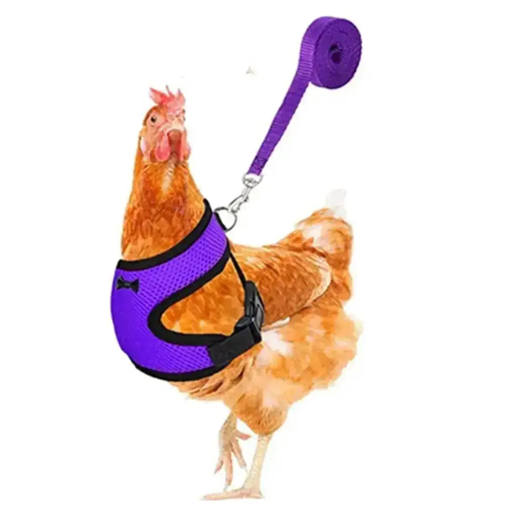 1 Pcs Fashion Chicken Duck Vest Hen Belt Pet Harness Matching Collars Bow Comfortable Leads Breathable Poultry Supply Wholesale