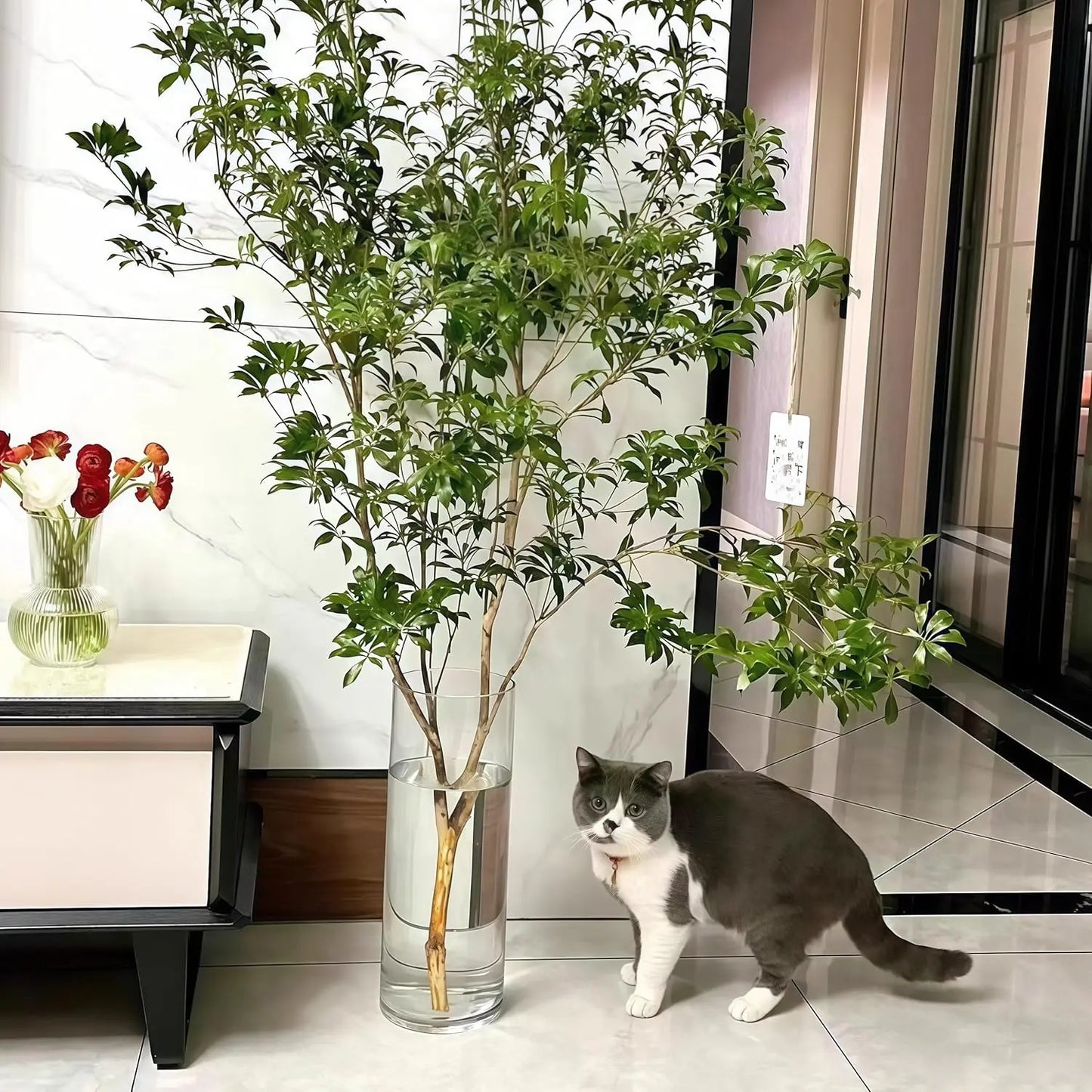 Extra Large Clear Acrylic Cylinder Vase, 20 in Tall Unbreakable Hurricane Flower Vases for Home Decor (3 Sizes + Holder)